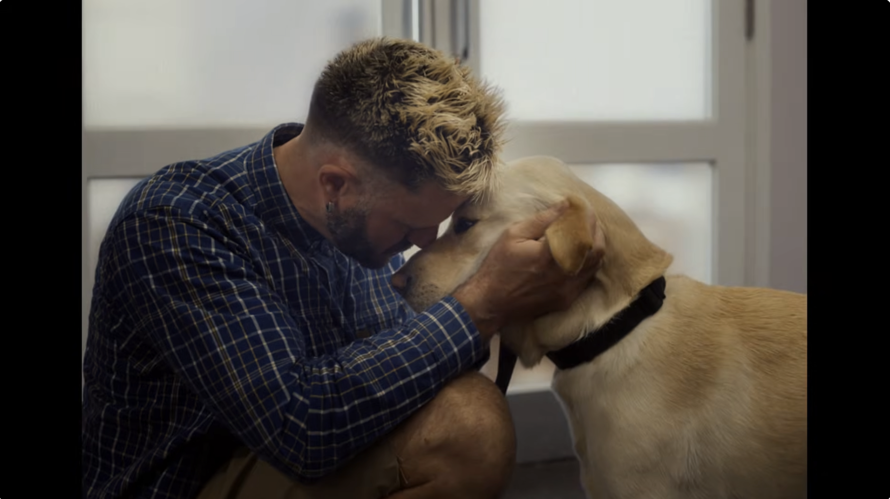 Still from Guide Dogs 'Life Unleashed'