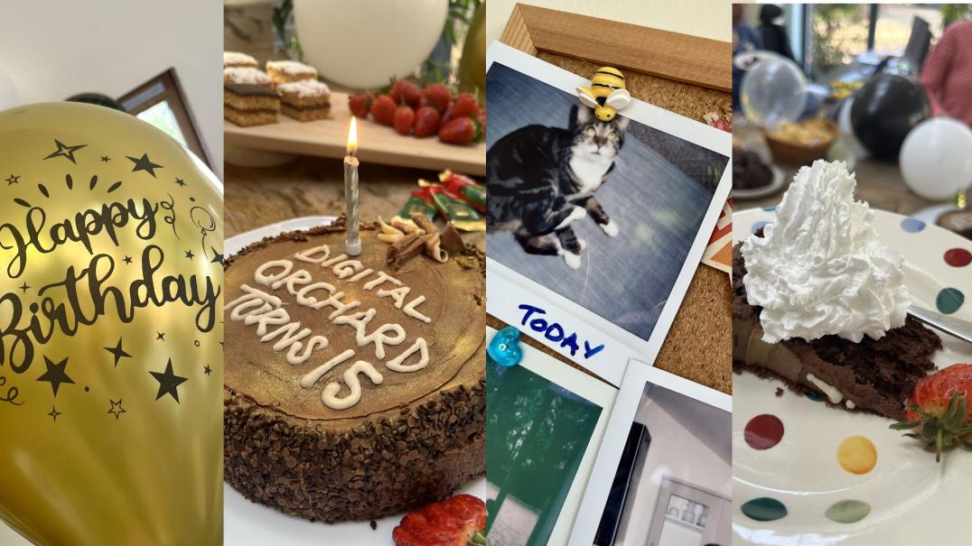 Digital Orchard Group Celebrates 15 Years of Excellence in Film and Digital